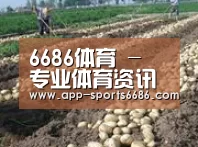 种植基地八
