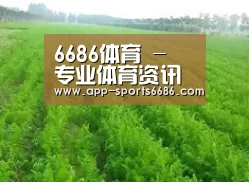 种植基地四