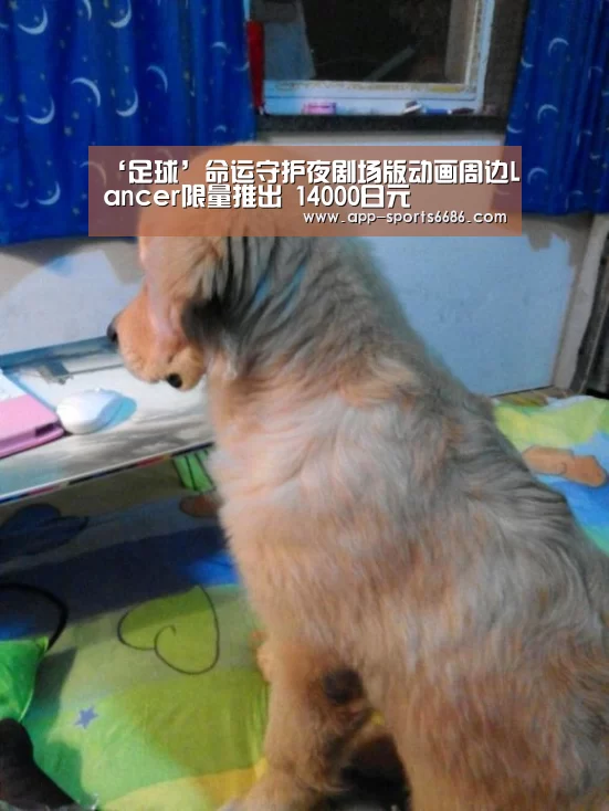 ‘足球’命运守护夜剧场版动画周边Lancer限量推出 14000日元(图1) 赛事直播